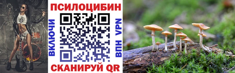 ссылка на мегу зеркало  Курильск  Псилоцибиновые грибы GOLDEN TEACHER 